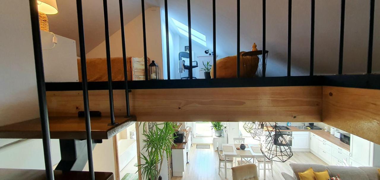 Hoobee Home & Rooftop Terrace Târgu-Mureş エクステリア 写真